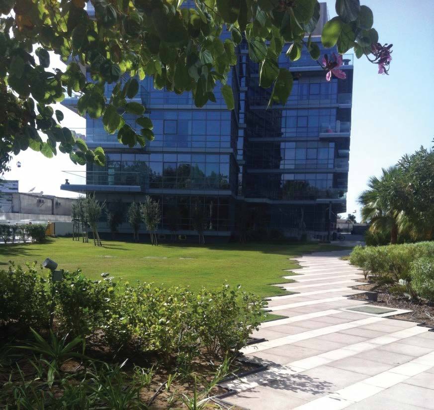 Marasy Development Landscaping
