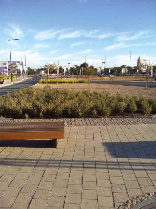 Al Ain Stadium Landscaping
